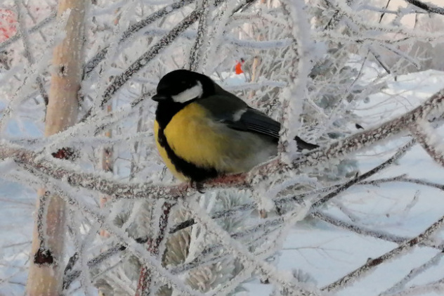 Сергей Соннов, участник фотоконурса РГО "Самая красивая страна" 