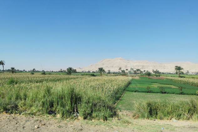 Луксор Луксор