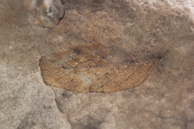 Молодежный клуб РГО "Новое поколение" 