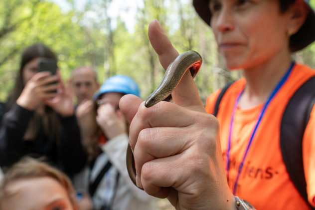 Как Молодёжный клуб РГО псевдозмею ловил! Как Молодёжный клуб РГО псевдозмею ловил!