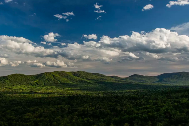 Дмитрий Сычиков