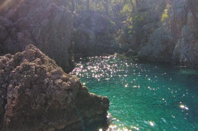 Предоставлено Молодежным клубом РГО "Анадолу"