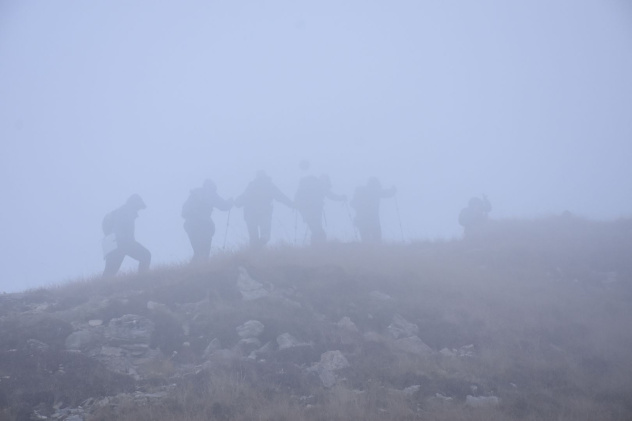 Тенгиз Мокаев 