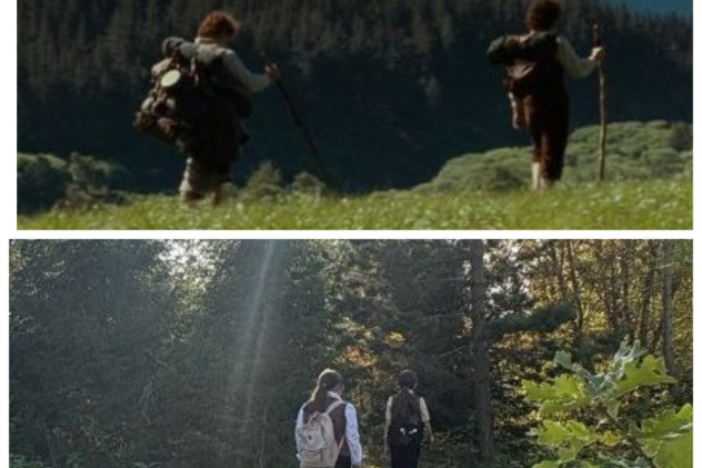 коллаж 2 коллаж 2