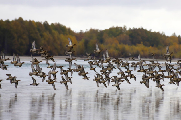 Олег Чепинога, участник фотоконкурса РГО "Самая красивая страна"