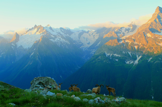Александр Белоусов Александр Белоусов