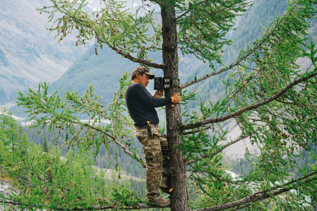 МЭШ Сохраняй Алтай МЭШ Сохраняй Алтай