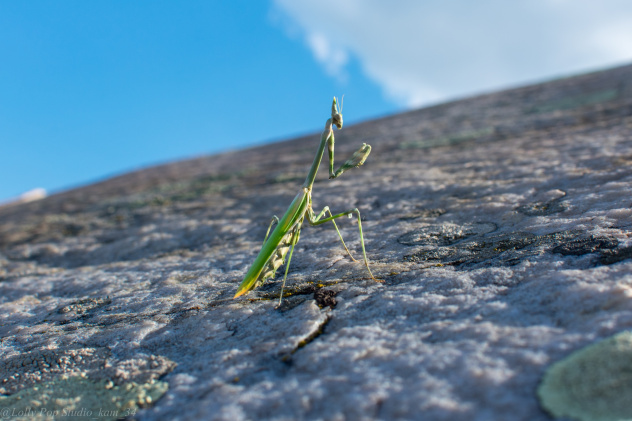 Поход к горам Уши Поход к горам Уши
