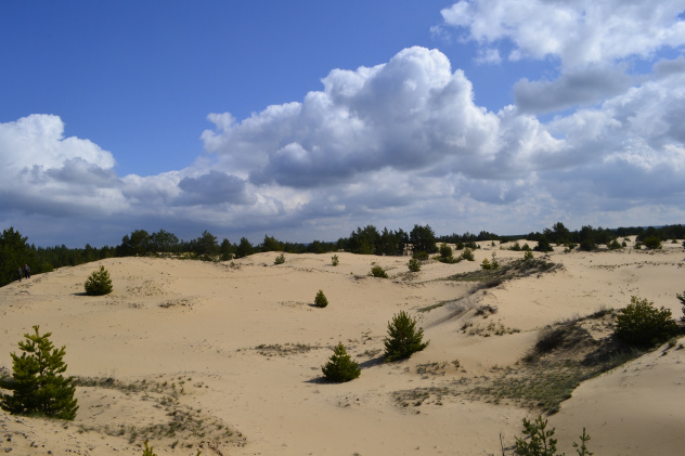 Экспедиция в Воронеже Экспедиция в Воронеже
