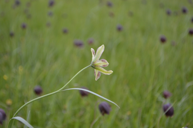 Экспедиция в Воронеже Экспедиция в Воронеже