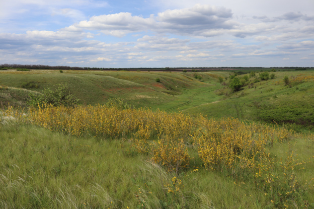 Автор: Дмитрий Владимиров Автор: Дмитрий Владимиров