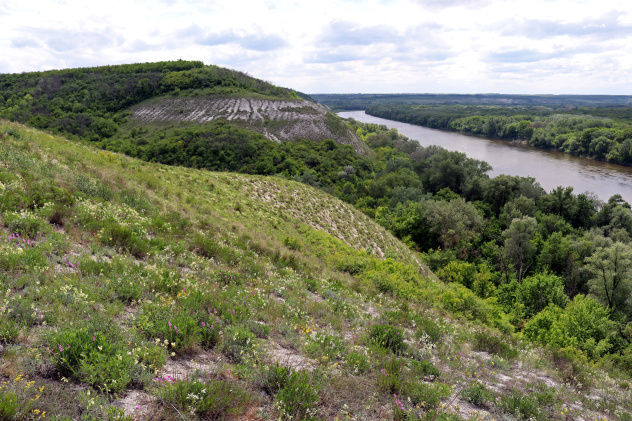 Автор: Дмитрий Владимиров Автор: Дмитрий Владимиров