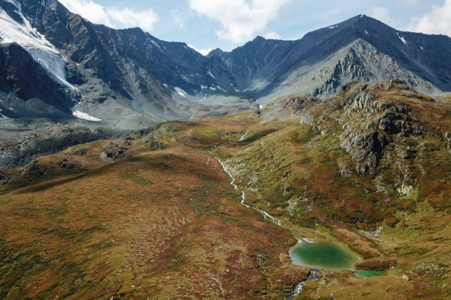 МЭШ Сохраняй Алтай в природном парке Белуха МЭШ Сохраняй Алтай в природном парке Белуха