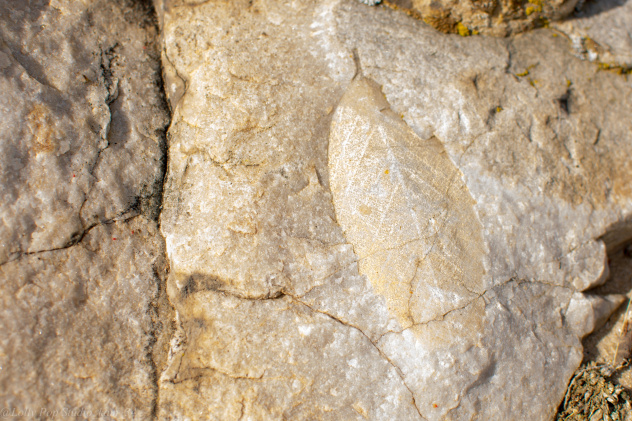 Поход к горам Уши Поход к горам Уши