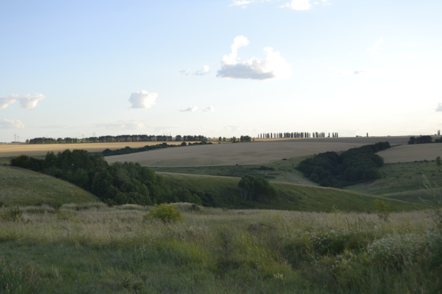 Окрестности бывшего хутора Головин Окрестности бывшего хутора Головин