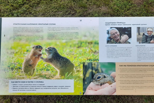 Павел Ложкин