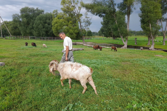 Павел Ложкин