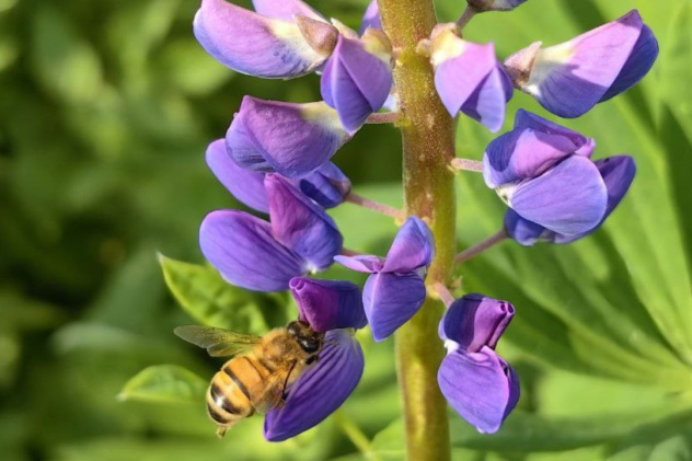 Автор: Артём Климович Автор: Артём Климович