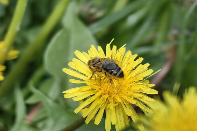 Автор: Артём Климович Автор: Артём Климович