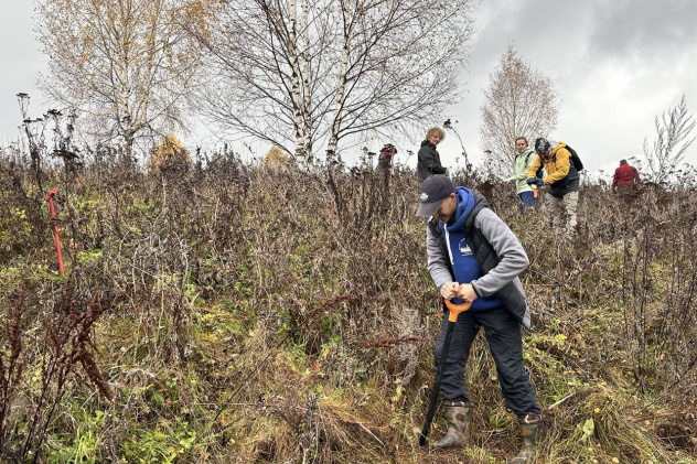 Дарья Салогуб