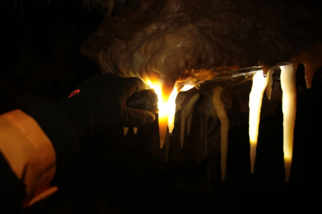 Кирилл Слесаренко