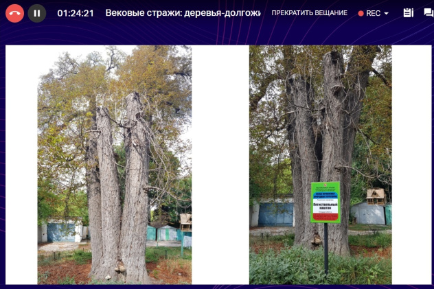 Предоставлено организаторами 