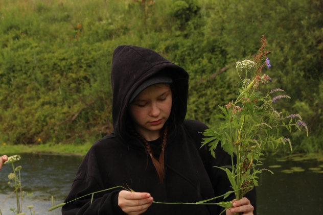 Сбор гербария Сбор гербария