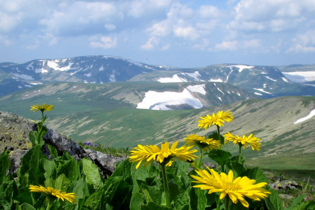 "Кузнецкий Алатау"