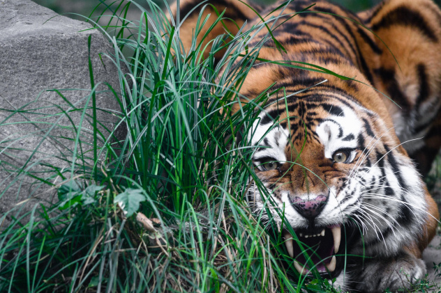 Михаил Колесников, участник фотоконурса РГО "Самая красивая страна" 