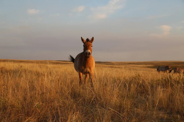 Лилия Дмитрик Лилия Дмитрик