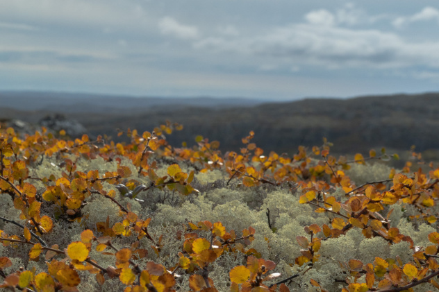 Наталья Банчукова Наталья Банчукова