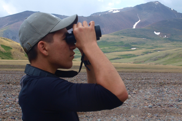 Наблюдая за дикой природой