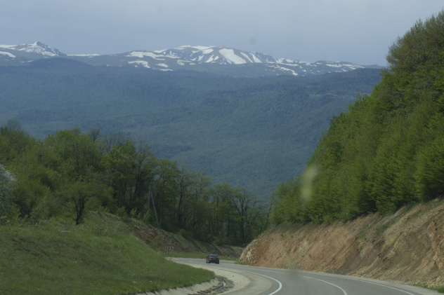 Предоставлено Молодежным клубом РГО "Собер" 
