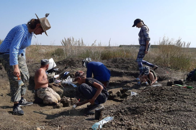 Елена Юркина