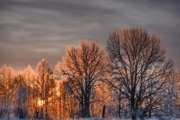 Рассветы Окского заповедника. Работа участника фотоконкурса "Самая красивая страна" Рассветы Окского заповедника. Работа участника фотоконкурса "Самая красивая страна"