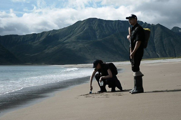 Предоставлено организаторами
