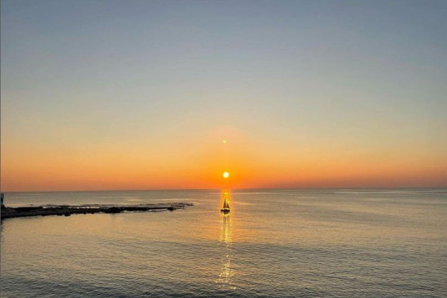 Предоставлено организаторами 