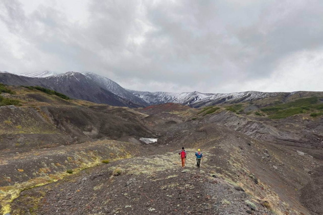 Наталия Терещенко