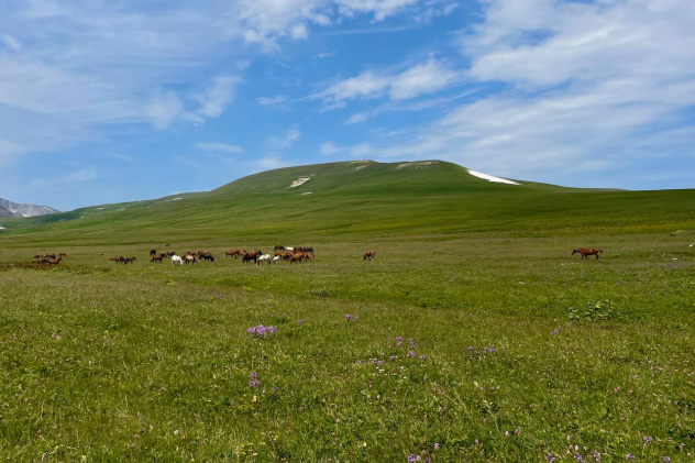 Анна Холод Анна Холод