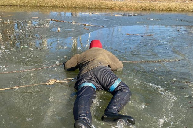 Поведение на льду