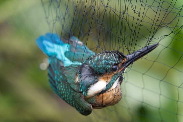 Анастасия Беляева Анастасия Беляева
