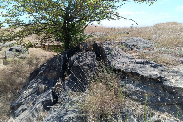 Участники МК РГО «Салют» продолжают изучать происхождение ландшафта окрестностей Армавира Участники МК РГО «Салют» продолжают изучать происхождение ландшафта окрестностей Армавира