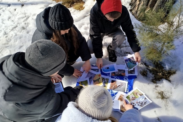 Экологический квест 