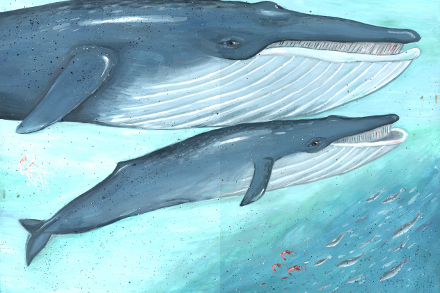 Синие гиганты