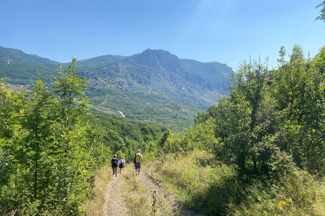 Никифорова А.А. Никифорова А.А.