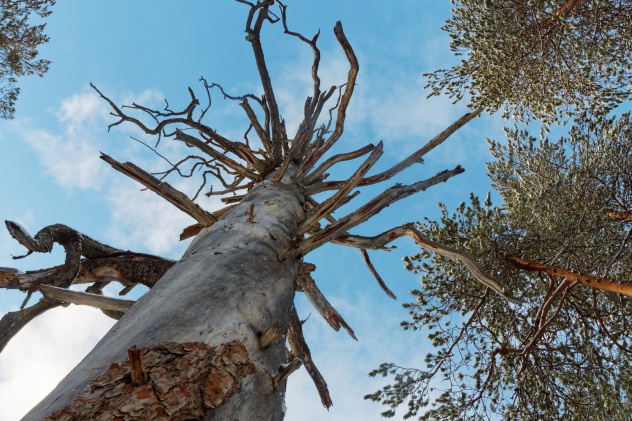 Александра Пилипенко, участница фотоконкурса "Самая красивая страна"