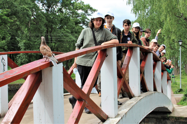 Предоставлено организаторами