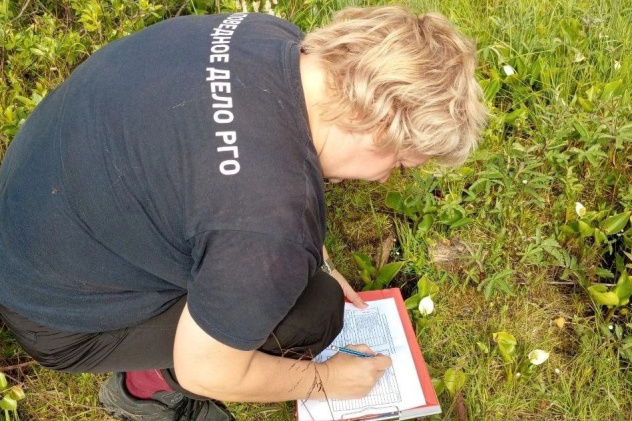 Светлана Карпунова