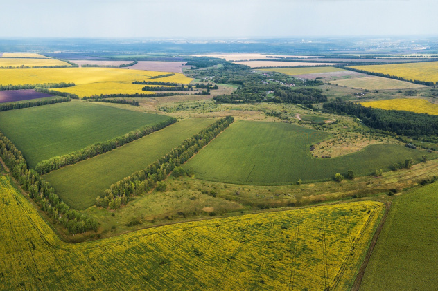 Поля Тамбовщины