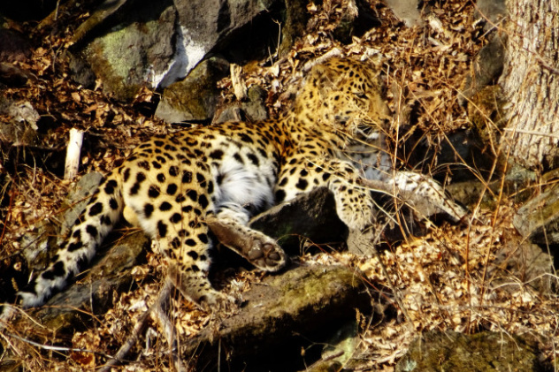 Надежда Сажина, участник фотоконкурса РГО "Самая красивая страна"